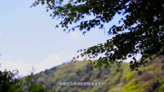 瞳术使用者